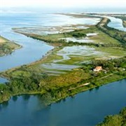 Foce Dell'isonzo Regional NR, Italy