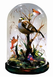 The White-Throated Transmigrant (E. Lily Yu)