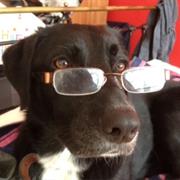 100 Books to Read Before You Need Glasses