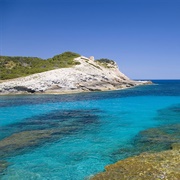 Oleícola San Francisco, Baeza