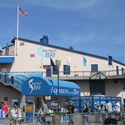 Aquarium of the Bay (San Francisco)