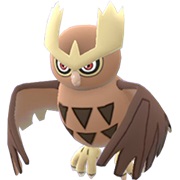 Noctowl