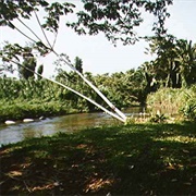 Corkscrew Basin Wildlife Sanctuary