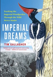 Imperial Dreams (Tim Gallagher)