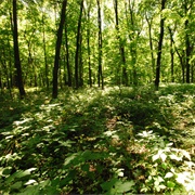 Belmont Mound State Park, Wisconsin