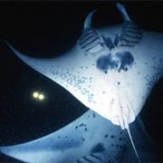 Kailua Kona, Hawaii, United States