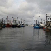 New Bedford Harbor