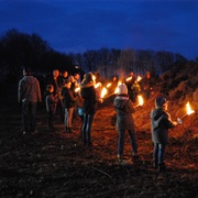 Nightwalk With a Torch