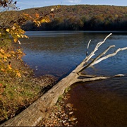 Tuscarora State Park, Pennsylvania