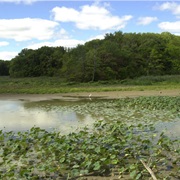 Old Woman Creek National Estuarine Research Reserve