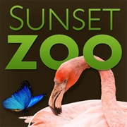Sunset Zoo