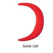 Sickle Cell