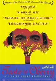 طعم گيلاس (Taste of Cherry)