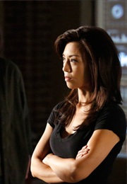 Agents of S.H.I.E.L.D. S1ep9: Repairs (2013)