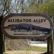 Alligator Alley - Summerdale, AL