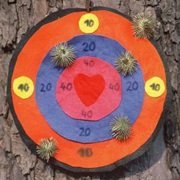 Selfmade Nature Darts