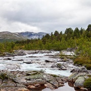 Reinheimen National Park