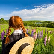 Prince Edward Island