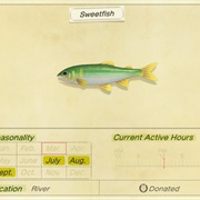Sweetfish