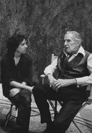 A Visit With Vincent (1994)