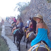 Ride a Donkey Down the Embedded Stairway in the Cliffs of Oia, Santorini