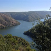 International Tagus Natural Park, Spain / Portugal