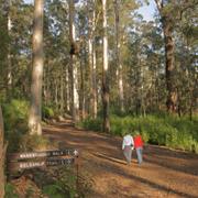 Porongurup National Park (WA)