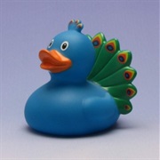 Peacock Duckie