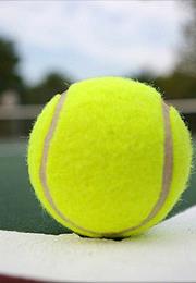 U.S. Open Tennis Championship