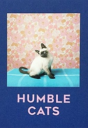 Humble Cats (The Humble Cats Foundation)