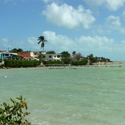 Corozal
