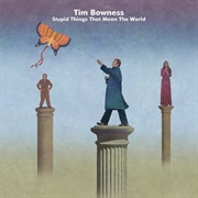 Tim Bowness - Stupid Things That Mean the World