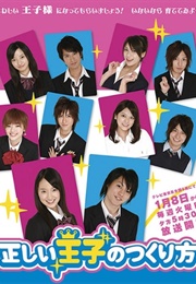 Tadashii Ouji No Tsukurikata (2008)