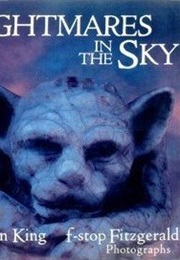 Nightmares in the Sky (Stephen King &amp; F-Stop Fitzgerald)