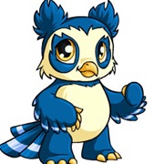 Vandagyre (Neopets)