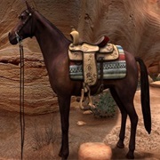 Nancy Drew: The Secret of Shadow Ranch