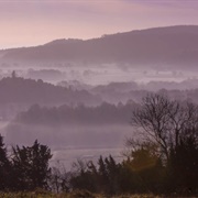 Denbies Hillside (NT)