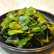 Coastal Hog Fennel (Peucedanum Japonicum)