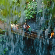 Burgers' Zoo, Arnhem, Netherlands