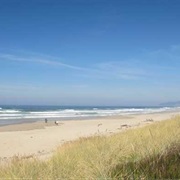 Manhattan Beach State Recreation Site, Oregon