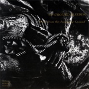 Controlled Bleeding - Music From the Scourging Ground