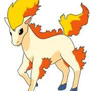 Ponyta