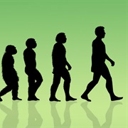 Evolution Attempts to Explain the Origin of Life/Origin of the Universe