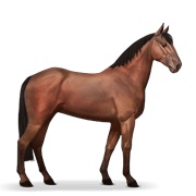 Standardbred - Cherry Bay