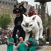 Festival of the Cats, Ypres, Belgium