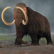 Royal British Columbia Museum, Victoria, BC