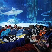 Vancouver Aquarium, Canada