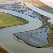 Havergate Island (Suffolk, UK)