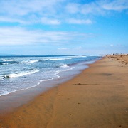 Bolsa Chica State Beach