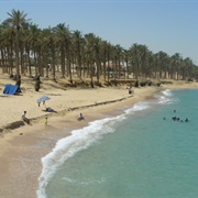 Al Arish